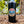 Load image into Gallery viewer, Biscayne Coffee Copper Vacuum Insulated Tumbler, 22oz